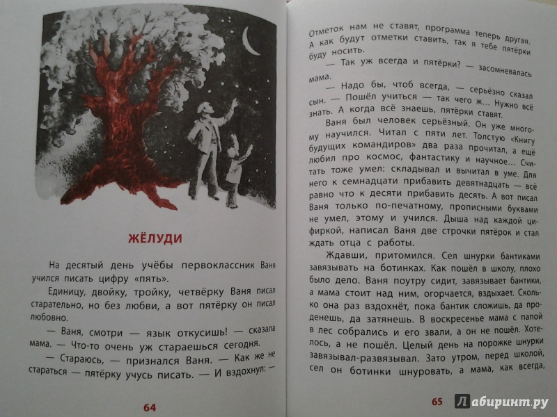 Ваня написал текст. Рассказ опоздавший мухомор Бахревский. Сказка Владислава Бахревского опоздавший мухомор. Бахревский желуди. Рассказ желуди Бахревский.