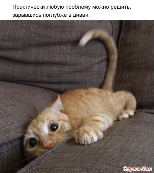    ))