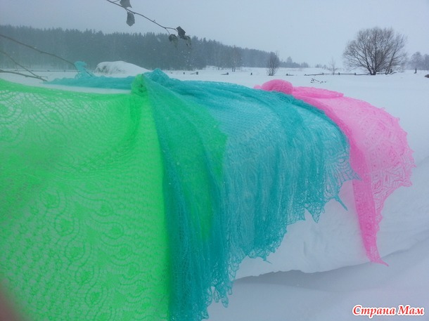 Три шали на чистом снегу