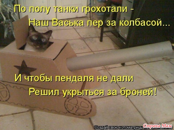 немного котоматрицы)