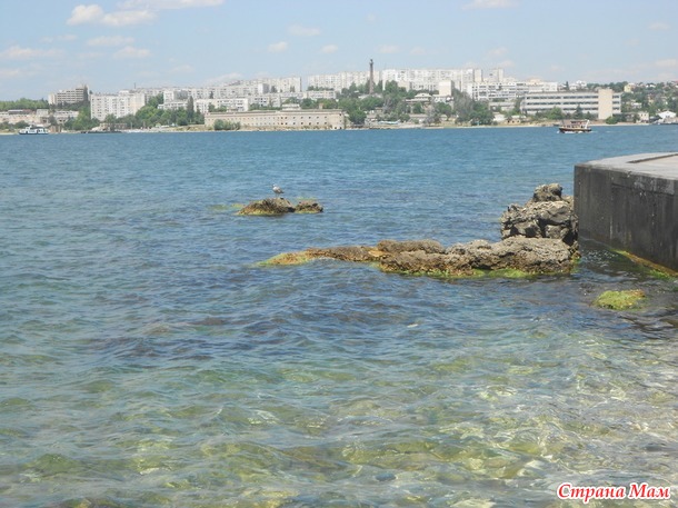Воспоминания об отдыхе на море (Кучугуры-Крым 2016). Часть 4, заключительная.