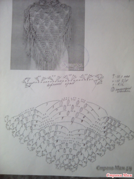 Шаль виноградная лоза спицами схема и описание бесплатно
