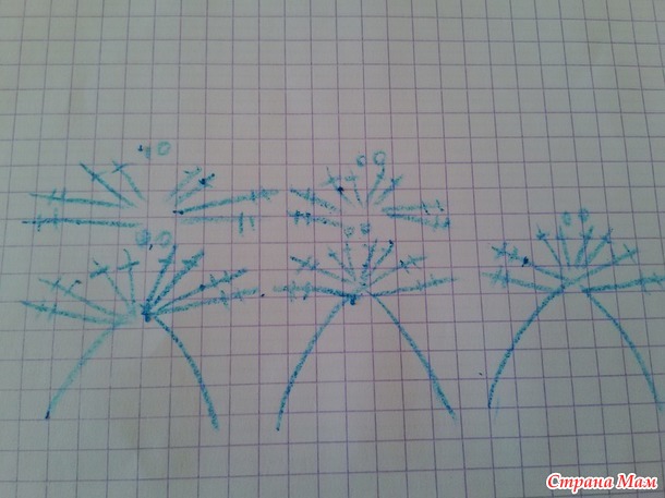 Панамка-ромашка