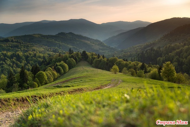 Собираюсь в Карпаты летом. Яремче.