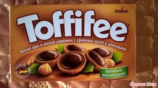 Норка моего хомяка.