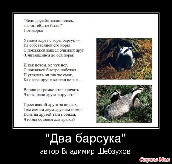 Статусы про дружбу и друзей для социальных сетей: более 50 высказываний