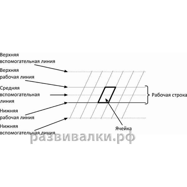 Рабочая строка. Нижняя линия рабочей строки. Тетрадь в рабочую строку. Рабочая строка верхняя и нижняя линии.