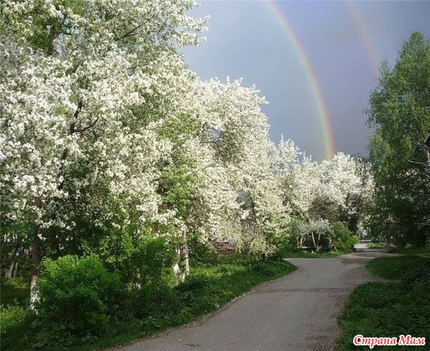 ПОЛЬЗА НАКЛОНОВ ВПЕРЕД СТОЯ