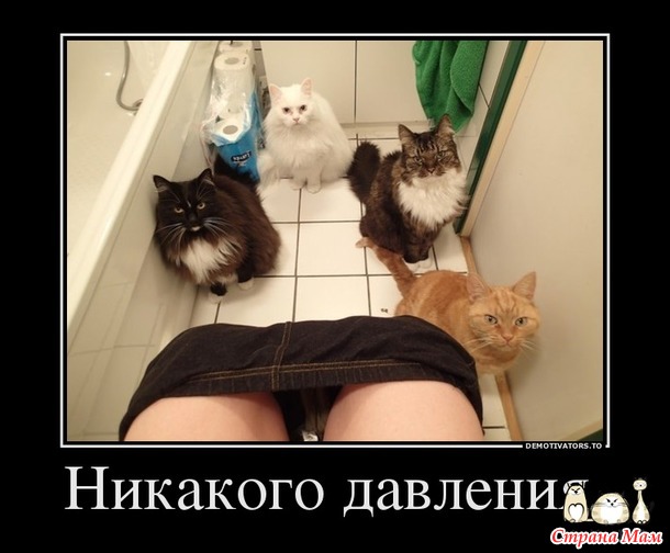 Что Вы на меня так смотрите...