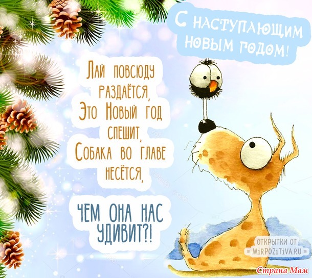 Если во время новогодней ночи вы оказались под столом, - помните: вы по-прежнему являетесь соучастником праздничного банкета.