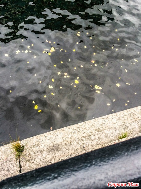 ���������. ������� 2017. �����-������) ����� ���� + �����!