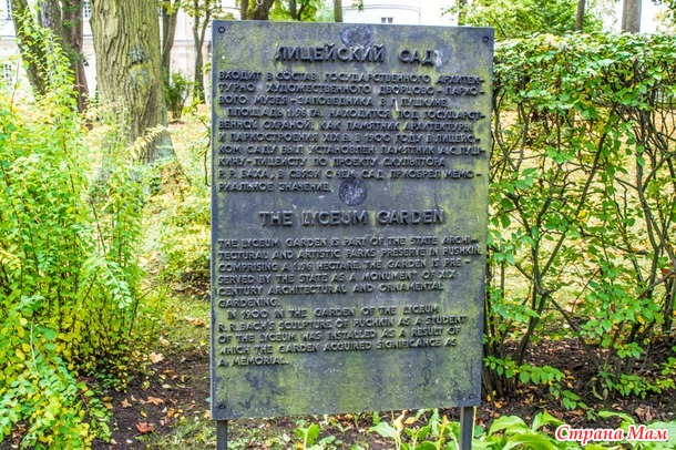 ���������. ������� 2017. �����-������) ����� ���� + �����!