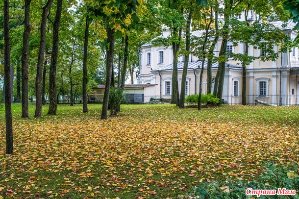 ���������. ������� 2017. �����-������) ����� ���� + �����!