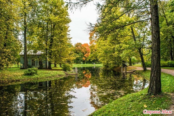 ���������. ������� 2017. �����-������) ����� ���� + �����!