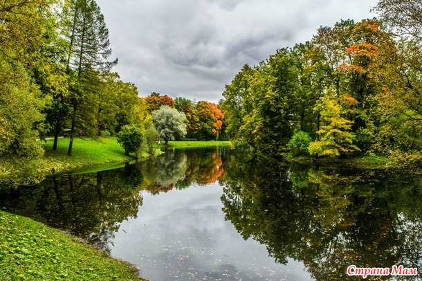 ���������. ������� 2017. �����-������) ����� ���� + �����!