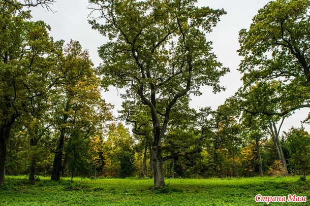 ���������. ������� 2017. �����-������) ����� ���� + �����!