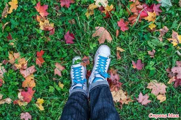 ���������. ������� 2017. �����-������) ����� ���� + �����!