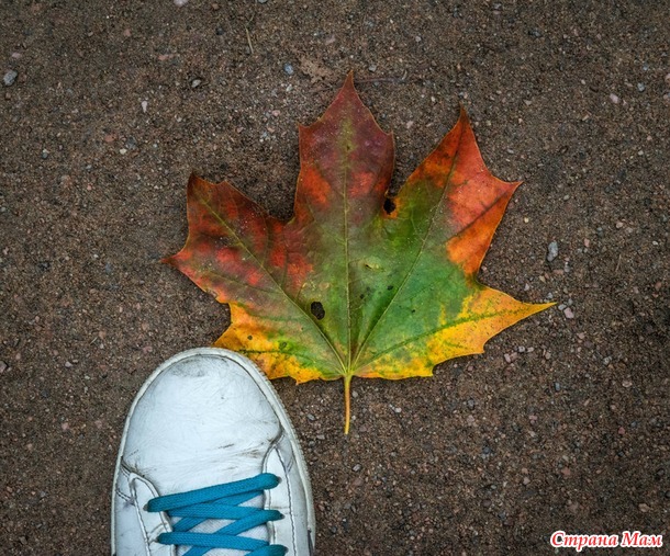 ���������. ������� 2017. �����-������) ����� ���� + �����!