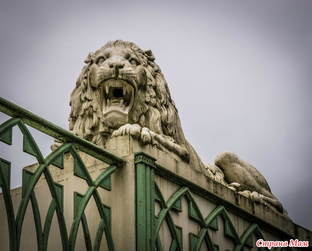 ���������. ������� 2017. �����-������) ����� ���� + �����!