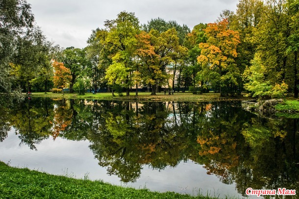 ���������. ������� 2017. �����-������) ����� ���� + �����!