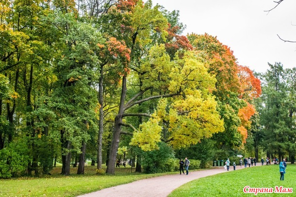 ���������. ������� 2017. �����-������) ����� ���� + �����!