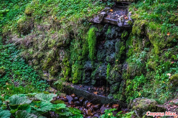 ���������. ������� 2017. �����-������) ����� ���� + �����!