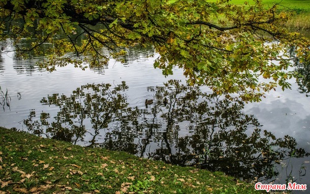 ���������. ������� 2017. �����-������) ����� ���� + �����!