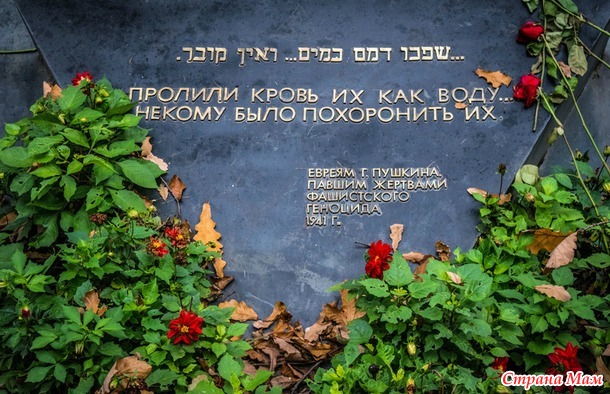 ���������. ������� 2017. �����-������) ����� ���� + �����!