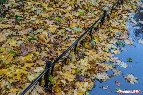 ���������. ������� 2017. �����-������) ����� ���� + �����!