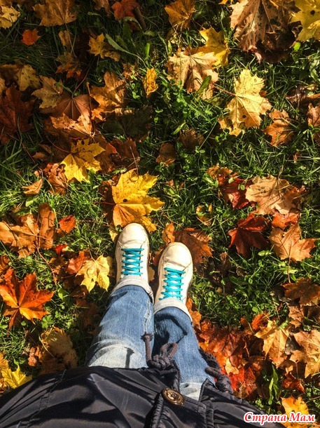 ���������. ������� 2017. �����-������) ����� ���� + �����!