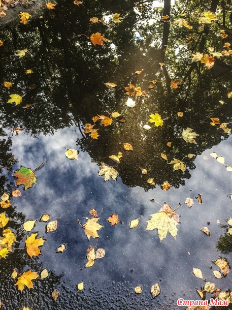 ���������. ������� 2017. �����-������) ����� ���� + �����!