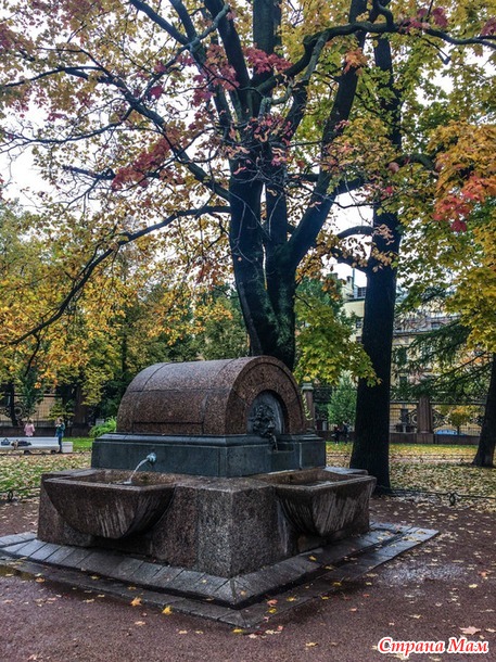 ���������. ������� 2017. �����-������) ����� ���� + �����!