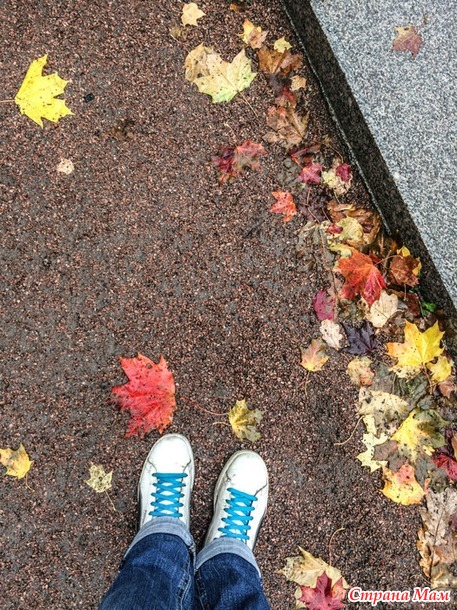 ���������. ������� 2017. �����-������) ����� ���� + �����!