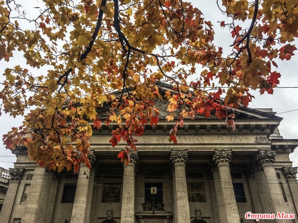 ���������. ������� 2017. �����-������) ����� ���� + �����!