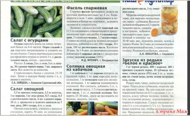 Журнал "Домашние заготовки" № 21 стр. 5-6