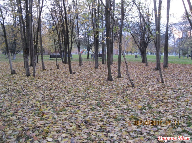 Дух наш молод и палки в руках! (или продолжаю ходить)