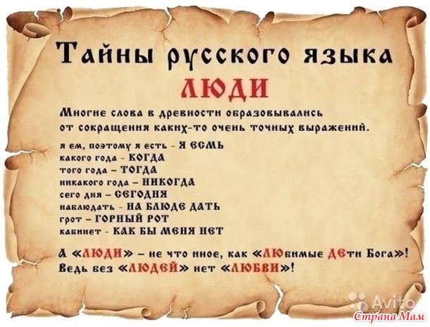 Штирлиц, проходя по переулку заметил, как маляр закрашивал матерные слова на заборе. — "Модератор" — подумал Штирлиц.
