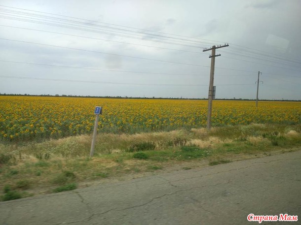 Морские (и не только) пейзажи. Отчетная фотосессия.