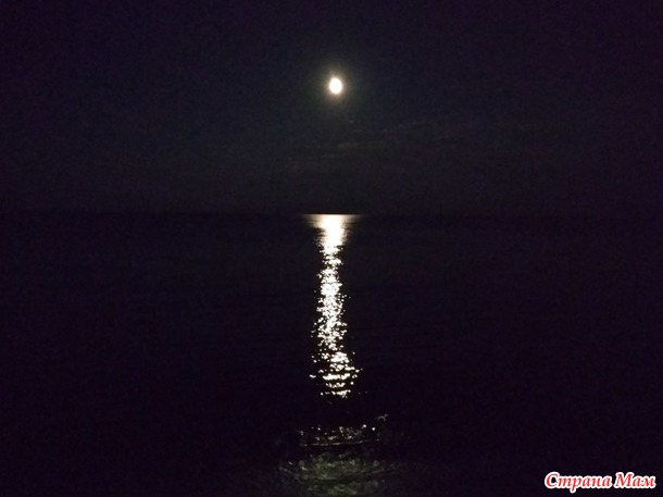 Морские (и не только) пейзажи. Отчетная фотосессия.