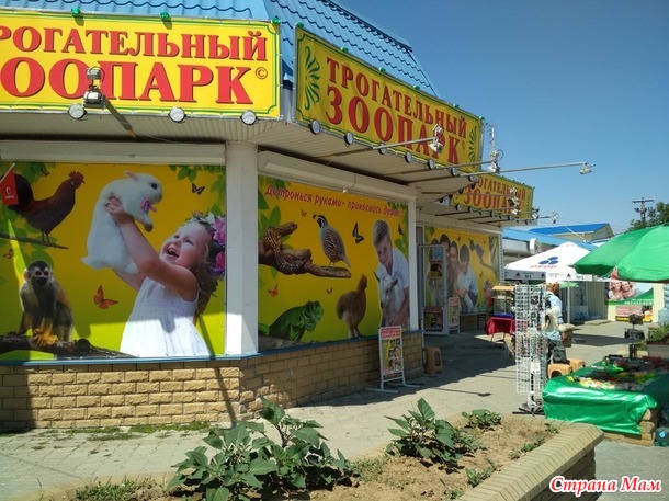 Морские (и не только) пейзажи. Отчетная фотосессия.