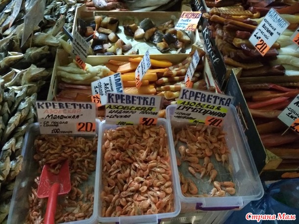 Морские (и не только) пейзажи. Отчетная фотосессия.
