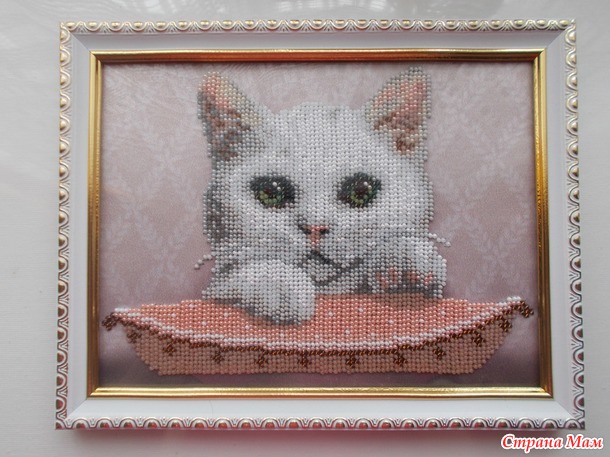 Киця Мася. Маленький хвастик.