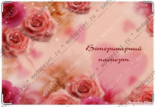 Модапринт - обложки на все виды документов, визитницы и кошельки из натуральной кожи. Качество отличное./Россия/
