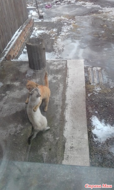 А у нас любоффьь