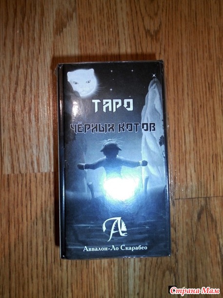 Фамильяр, Таро и классный котик