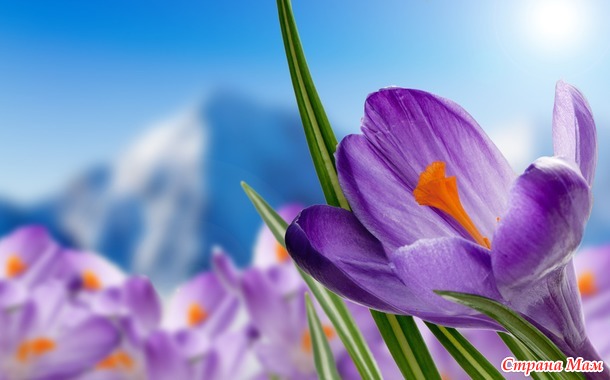 Рукодельные планы. Апрель 2018 (16.04 - 22.04.18)