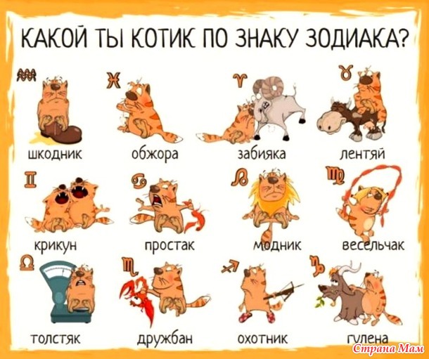 Кошка...