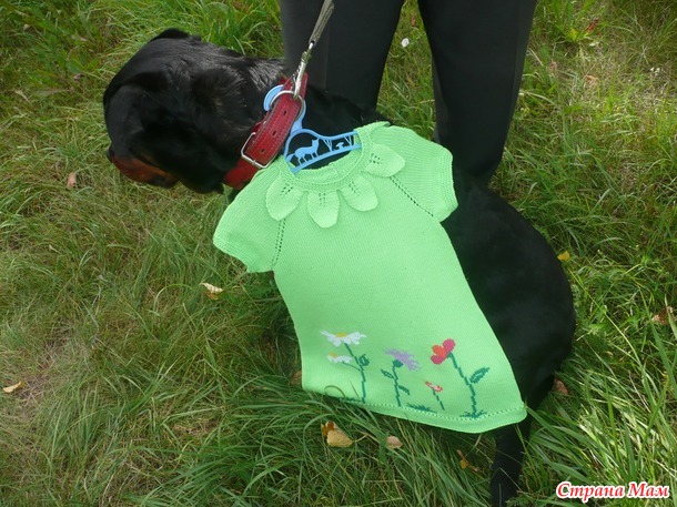 Наше платье из хотелок "Краски лета!"