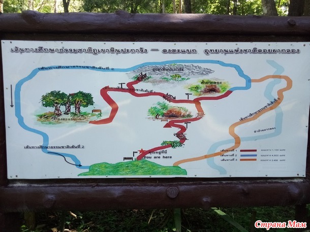   2018. 3. . Doi Pha Klong national park.