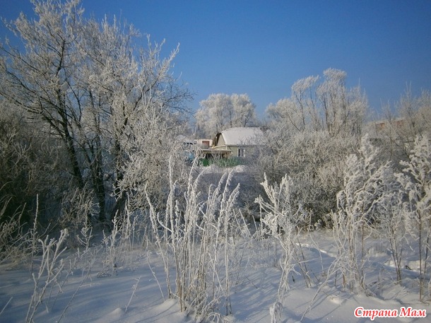 Тропинка в сказочный лес. ( фото)